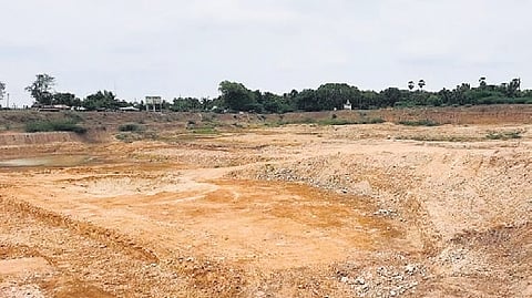 Individuals interested in participating in the auction may submit their applications by November 15.