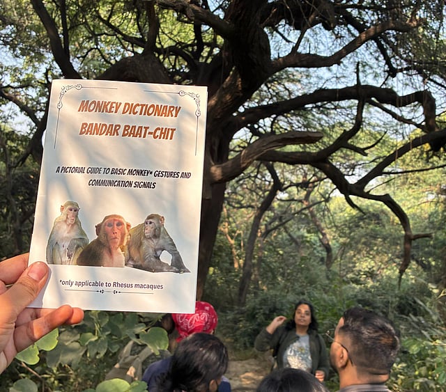 The Monkey Dictionary zine made by Gill