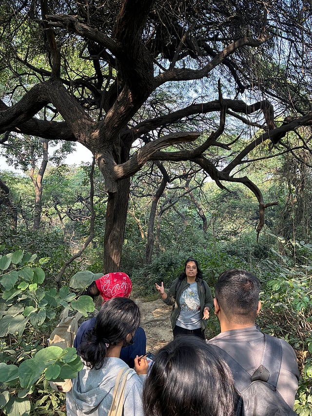 Primatologist Taniya Gill leading the Bandar Walk