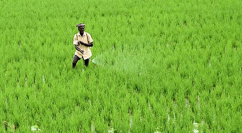 Image used for representational purposes only