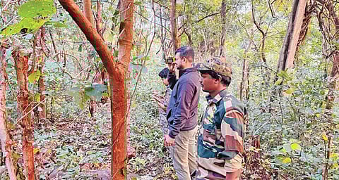 Forest department officials are conducting the AITE in Similipal Tiger Reserve