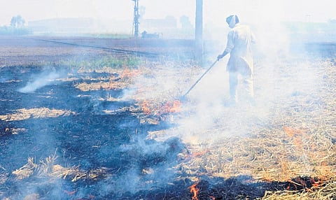 A farmer burns straw stubble after harvesting paddy crop in a field on the outskirts of Amritsar