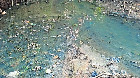 Representational purpose only