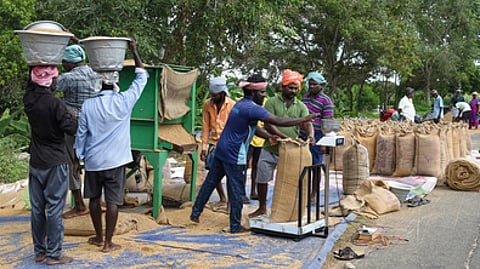 This kharif season, 108 procurement centres (mandis) will be opened across 240 panchayats under Jeypore and Koraput sub-divisions.