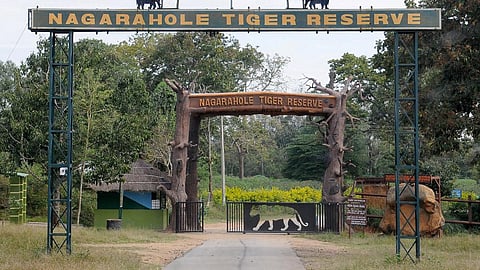 Officials question NTR foresters over cricket match inside reserve