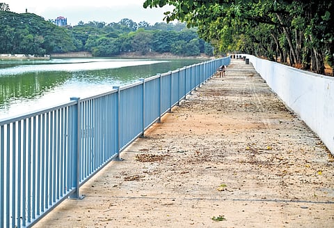 A pathway and Gabion Wall is coming up at Ulsoor Lake | Express