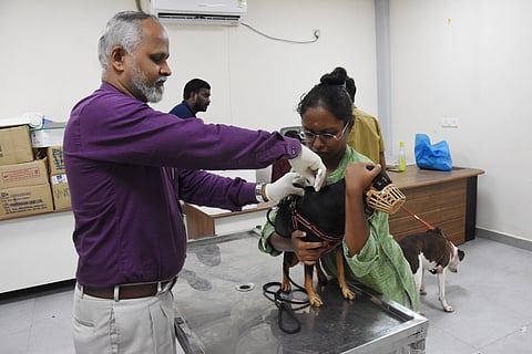 GCC extends deadline for microchipping, but ordeals continue