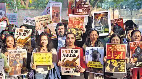 Dog lovers protest against SC order at Jantar Mantar on Saturday