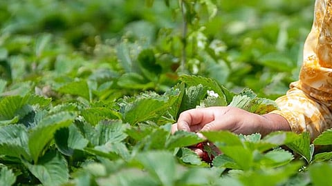 Image used for representational purposes.