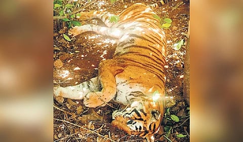 Image used for representative purpose.