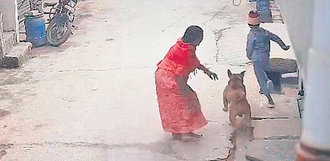 Screengrab of a purported CCTV footage of the incident, which went viral