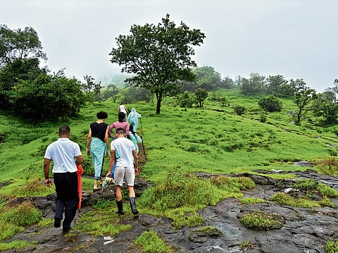 Tourists trekking the Gold Valley