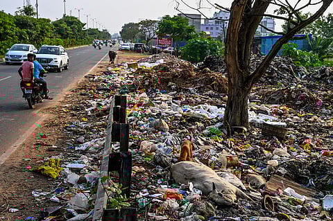 The stench from the waste pushed residents to launch a search on their own. They examined CCTV footage from nearby houses and spotted a car arriving with sacks of waste.