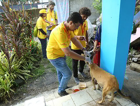 A vet administers a rabies shot