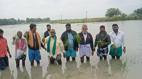 Farmers standing in inundated paddy field holding crops in their hands in Karaikal.