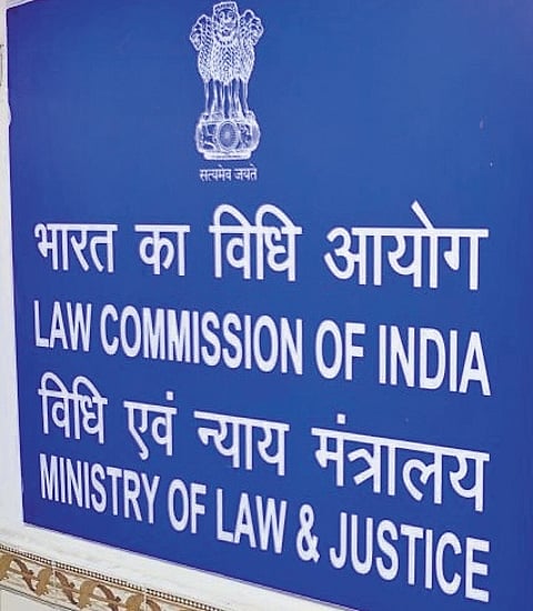 Law panel not in favour of statutory backing of model code of conduct