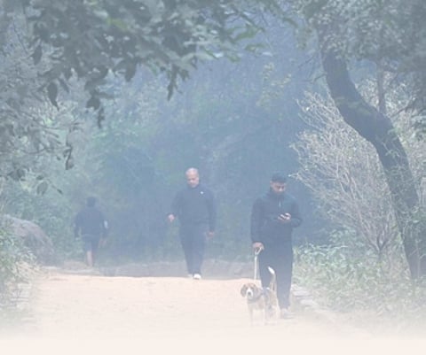 Delhi’s min temp to fall by 2-3 degrees Celsius in next 3 days