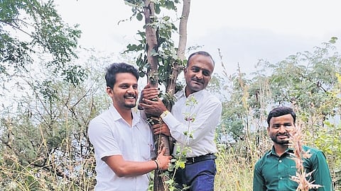 Farmers from Sandur taluk hug a tree to protect forest land in Devadari Hills from mining activities.