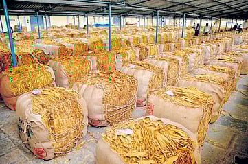 Image used for representational purposes only.