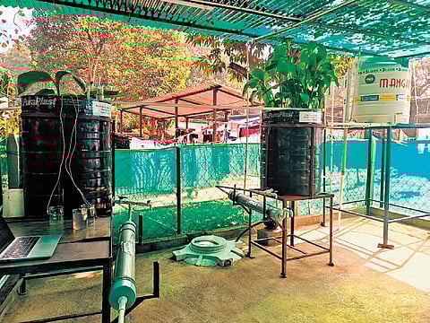 The innovative wastewater treatment system at NIT-Rourkela | Express