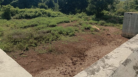 Pictures of the Jaganathan Kombai check dam near Palayampudur near Nallampalli.