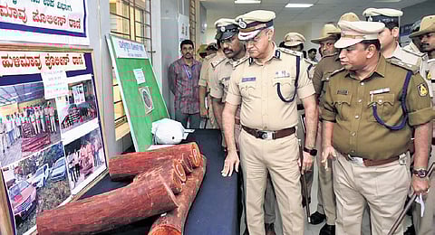 Police Commissioner Seemant Kumar Singh inspects the seized red sanders on Wednesday