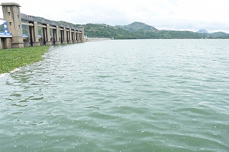 Image used for representational purposes.