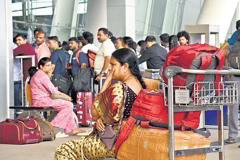 ‘Bali ka bakra’: DGCA’s sacking of flight inspectors after IndiGo fiasco triggers backlash