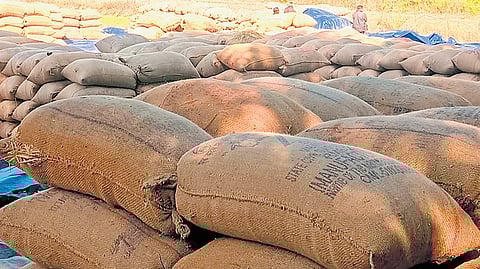 Paddy lying at Kendhipa mandi in Kuchinda block of Sambalpur district.