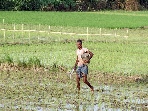 Under the new system, farmers need not wait at fertiliser outlets.