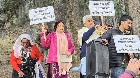 Environmental activists fear that the removal of this substantial green cover, especially along a major highway route, will exacerbate the risk of landslides.