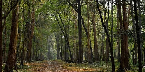 Photo for representation