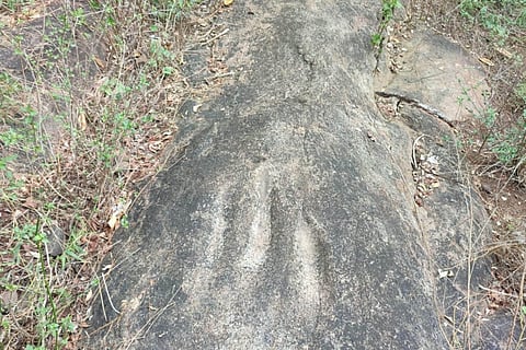 Neolithic rubbing grooves discovered near Srivilliputhur is the first such find in southern TN