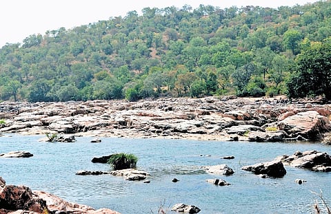The site of the proposed Mekedatu project in Karnataka.