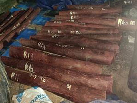 Andhra police detected a red sandalwood smuggling case involving 41 logs weighing about 1.225 metric tonnes.