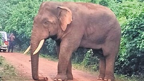 Image used for representational purposes.