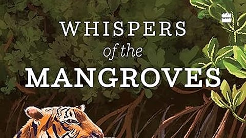 Making a case for the mangroves