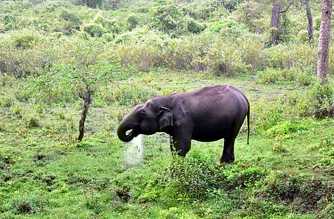 Image used for representational purposes only.