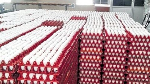 The government has been providing us Rs 6 per egg, of which Rs 5 is given for an egg, 20 paise for transportation charges, 30 paise for midday meals workers who remove the shell and 50 paise for boiling.