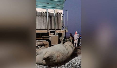 The down Sairang–New Delhi Rajdhani Express derailed after the train collided with a herd of elephants on the Jamunamukh–Kampur section under the Lumding Division of N.F. Railway.