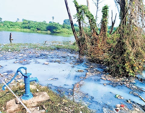 The discharge originates from a sewage treatment plant (STP) in Periyakuppam, which handles the sewage from Tiruvallur municipality areas.