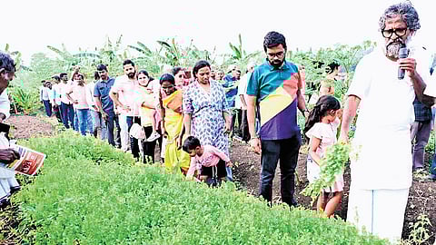 Krishna District Collector DK Balaji inspecting a natural farming unit