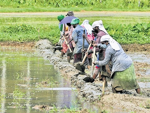 Under the new act, the Centre holds most powers, while states bear the majority of financial and implementation burden.