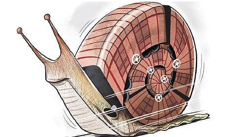 After years of delay, there is cautious hope that the project may finally gather pace with a new full-time managing director being appointed.