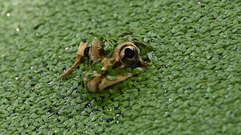 Image used for representational purposes only.