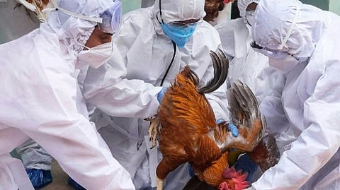 Health Minister urged strict vigilance at the field level and called on everyone to follow the guidelines.