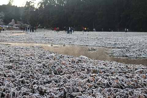 Frost-covered ground in Thalaikundha near Ooty.