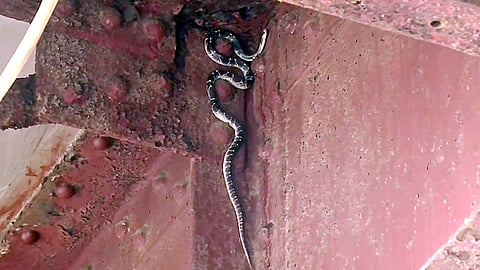 Image used for representational purposes only.