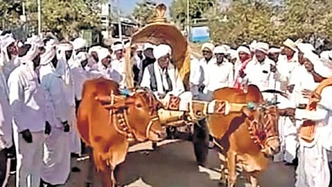 Members of the Meshram community and temple authorities held prayers and meetings at the Nagoba temple and finalised the dates and programmes to be conducted ahead of the jatara.
