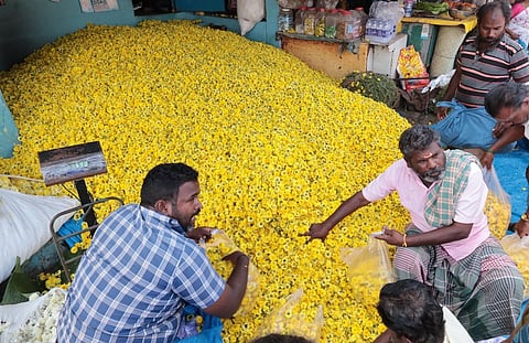 Sevanthi poo (chrysanthemum), typically in high demand during festive seasons, is now selling for just rupees 40 per kg